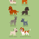 Illustration for article titled Adorable Drawings of Dog Breeds, Grouped By Their Place of Origin